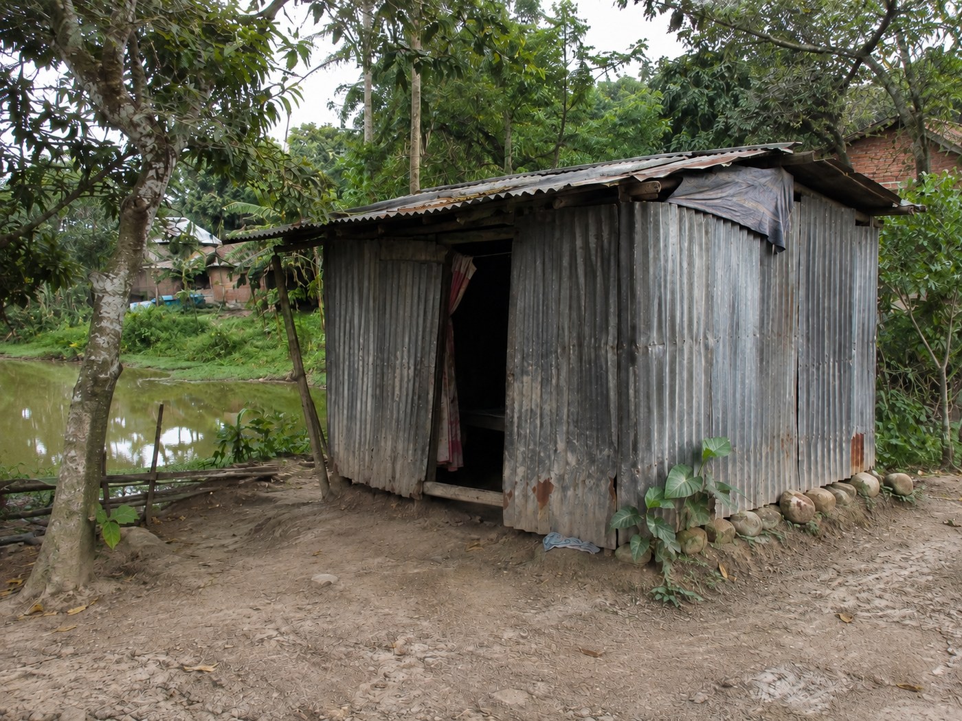 Tin House