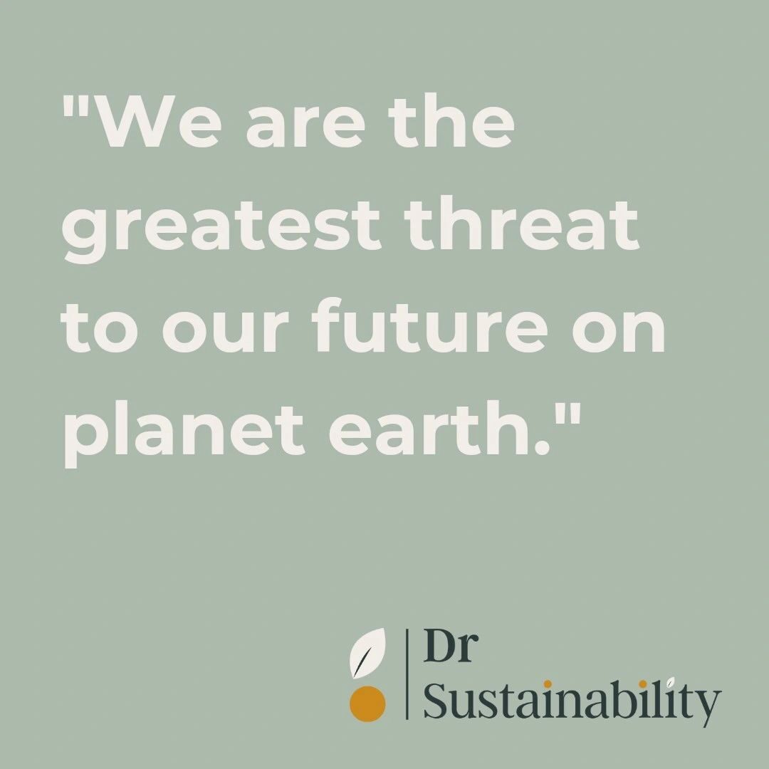 Sustainabilty Quote 7